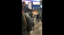 Charming feline nap interrupted: Stevenage Station's wake-up call