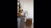 temp