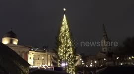 Trafalgar Christmas Tree 2023 lights up with strings of golden lights