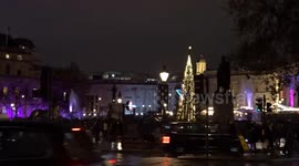 2023 Trafalgar Square Christmas Tree shines bright with golden lights on the switch-on night