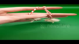 ‘I’m a bad taxidermist – this Christmas I’ve made baubles from DEAD CHICKS and rat skin ornaments’