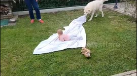 My sister came with her daughter and she was playing in the garden when my dog came to play with her!