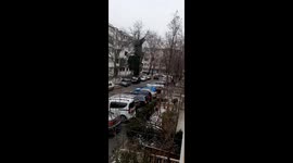 Cat Climbs Frozen Tree To Get Home