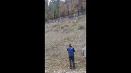 Doe Saved From Underneath Fence