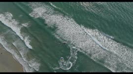 52-foot fin whale found dead in Mission Beach is towed out to sea