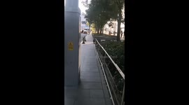 Monkeys strolls down busy street in Beijing, China