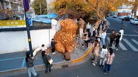 Massive cat sculpture made of fallen leaves becomes viral sensation in China