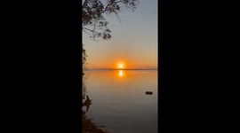 Ethereal sunrise & carefree kangaroo hopping in lake portray nature's unmatched serenity