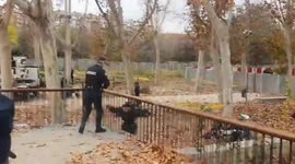 Several people chain themselves to the trees of Madrid Río to prevent their felling in Madrid on 11 December, 2023. Several people have accessed the fenced area of Arganzuela park to prevent the felling of trees, in an area where the Community of Madrid p