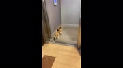 temp