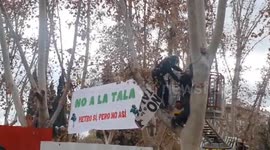 Several people chain themselves to the trees of Madrid Río to prevent their felling in Madrid 11 December,2023.