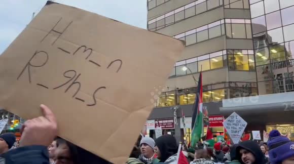 Canada: Hundreds Stage Pro-Palestine Rally In Toronto, One Arrested