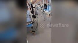 Rat hopping around in subway car scares passengers
