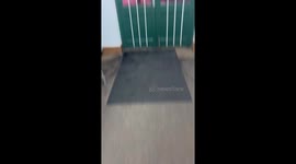 Atmospheric Conditions Bathe World in Pink Light