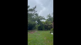 CYCLONE JASPER - High winds and rainfall - Making landfall Cairns area - Trees down, Flying debris and big clean up needed