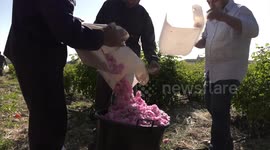 Syrian businesses hail China's import expo as key to expanding in Chinese market