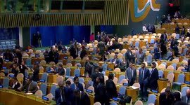 UN General Assembly adopts resolution demanding immediate humanitarian ceasefire in Gaza