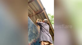 Grandfather saves bird stuck in net of his farm's enclosure