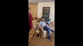 Lebanese woman tests dog's loyalty in playful social experiment