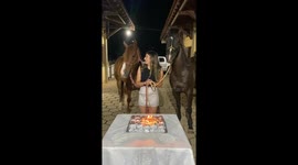 The Love Of An Equine Friend