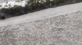 Hailstorms Fall During A Blizzard in Anyang, China