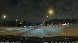 Motorists Block Road To Save Runaway Chihuahua in New York, USA