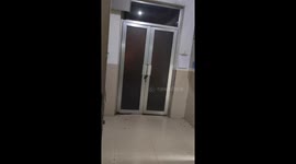 Enchanting Tree Reflections on Glass Doors Stun Chinese University Students