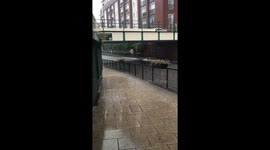 Flash Flooding Causes Driver Madness