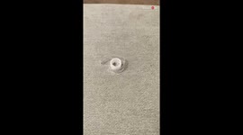 Rude Elf on the Shelf interrupts kids' regularly scheduled programming by 'breaking' brand new TV