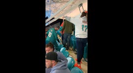 Angry Dolphins Fan Causes Collateral Damage