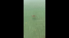 Sea turtle cruises around boat before swimming off into the distance of the ocean.