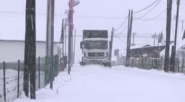 China swings into action to tackle cold wave