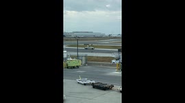 Dog On The Loose At Toronto International Airport