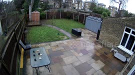 Puppy gets head stuck in dog bed. Other dogs hear her cries and come to help, or attack her? London