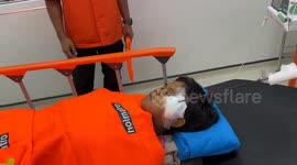 Harpoon pierces boy's face narrowly missing brain in hunting accident