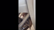 temp