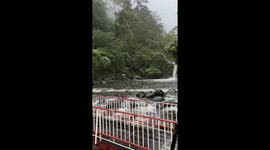 Mischievous exploration near Banyumas waterfall leads to a fall