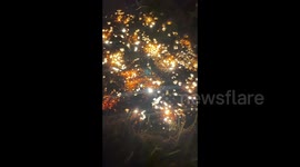 Local stumbles across GLOWING ant nest that resembles aerial view of Chinese city
