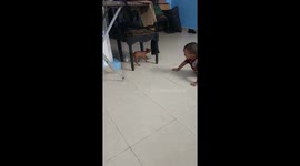 Two year child playing with family pet dog