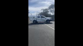 Neil The Seal Goes Out On The Town