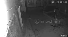 CCTV footage showing scary earthquake moment in northern China