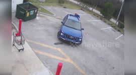 Man arrested after throwing Shih Tzu into dumpster in Florida