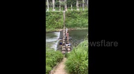 Dog has a blast playing in water stream in China