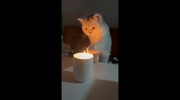 temp