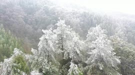Rime Landscape in Pubai Forest Park, China