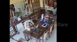 Startled Cat Shatters Glass