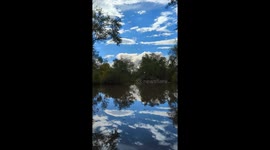 A serene, meditative, and undisturbed waterfront with sounds of geese calling in the distance, blue skies, and green trees.