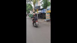 Dog standing on a motorbike moving on the street