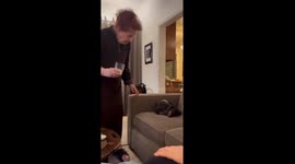 Heartwarming moment: mom's check-in ensures dog's peaceful nap