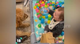 Pets and Kids Moments